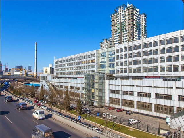 烟台松木橡木酒桶生产厂